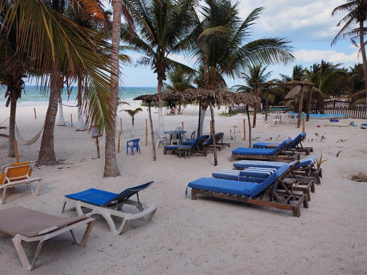 Casa Mate Beachfront Houses אל קויו מראה חיצוני תמונה